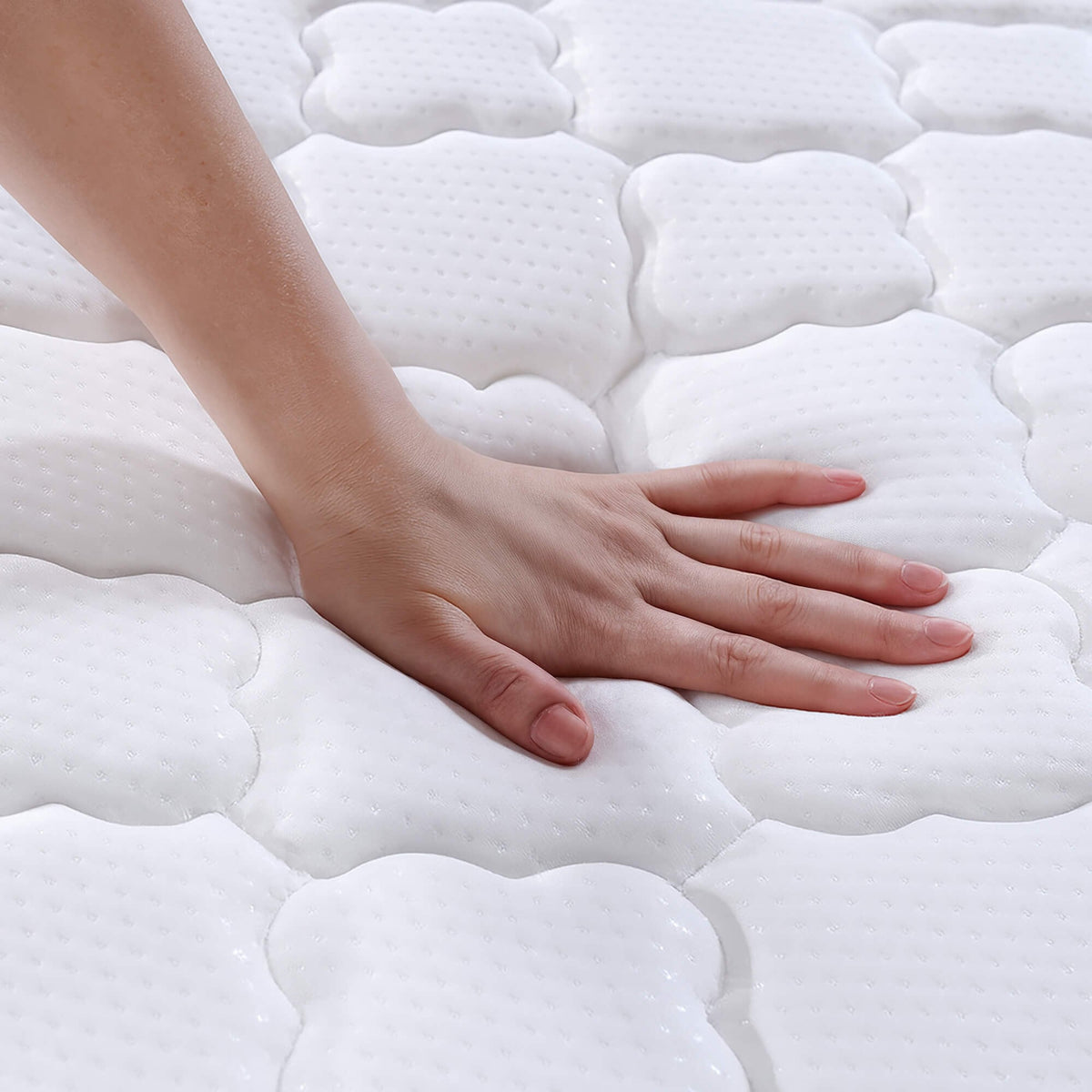 Materasso a Molle con Coprimaterasso 80x200 cm H24